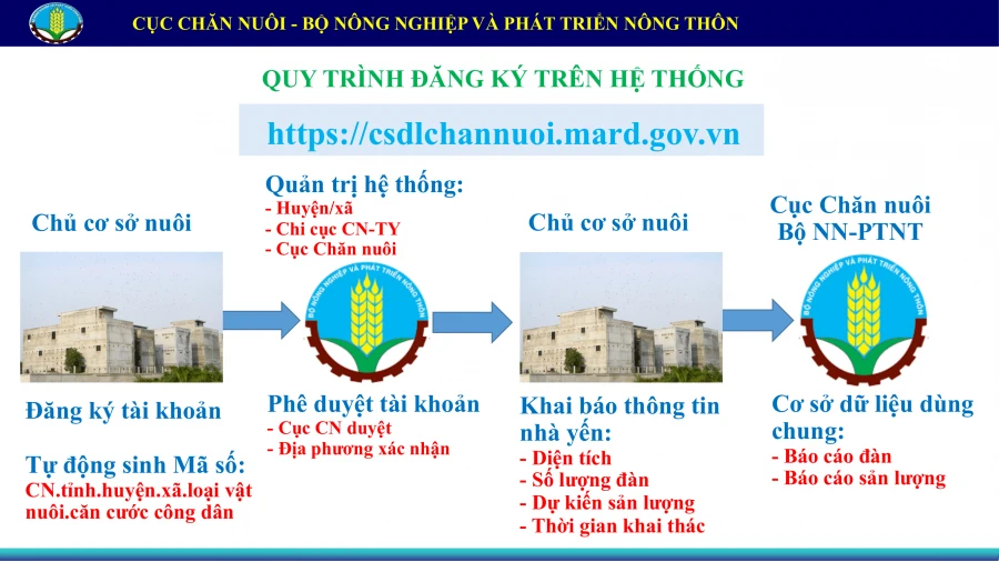 Cách đăng ký mã định danh nhà yến online