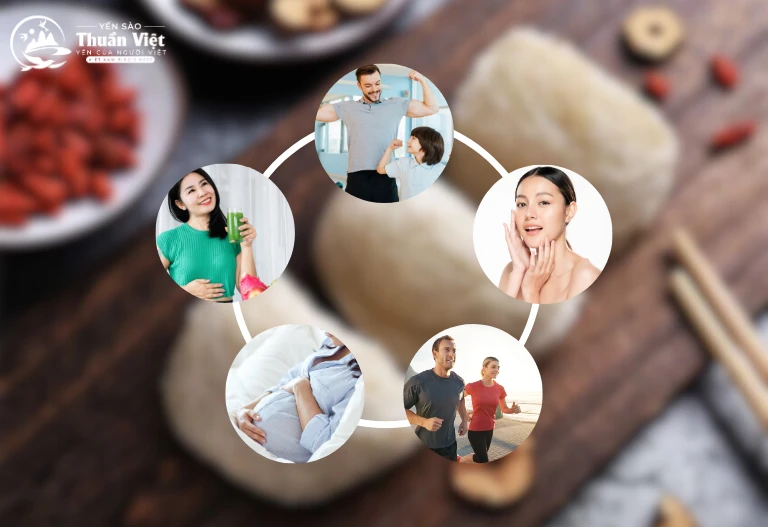 Cách Chưng Yến Ngon Tại Nhà - Yến Sào Thuần Việt