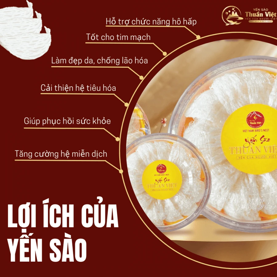 Cách Chế Biến Yến Sào - Bí Quyết Giữ Trọn Dinh Dưỡng và Hương Vị