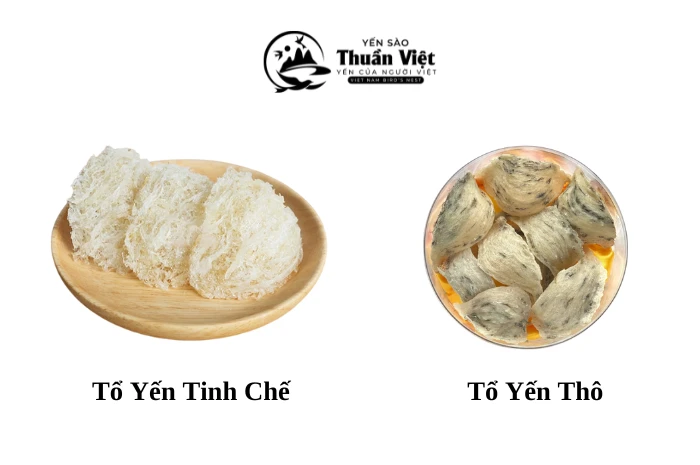 Tổ yến tinh chế