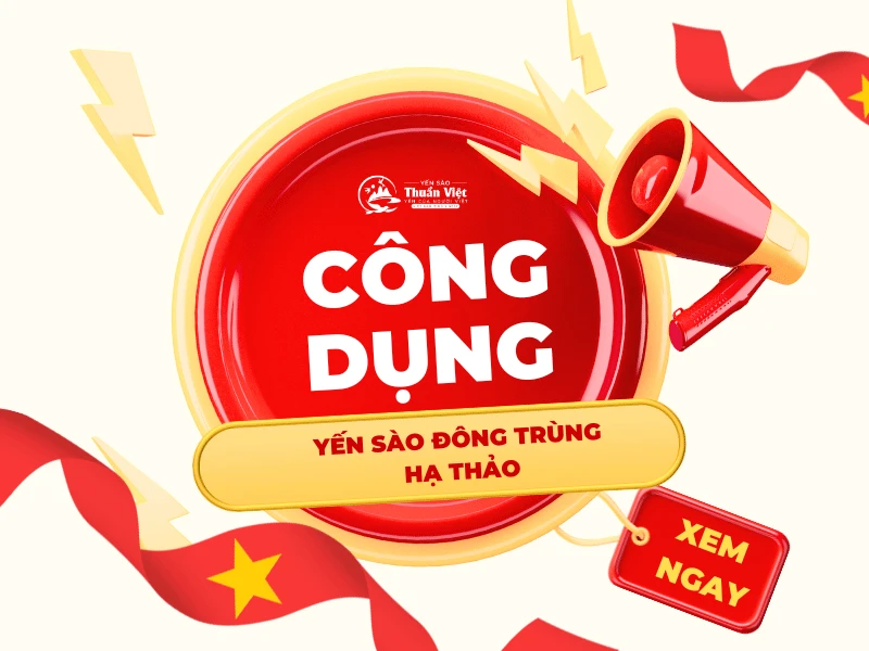 Công dụng của yến sào đông trùng hạ thảo