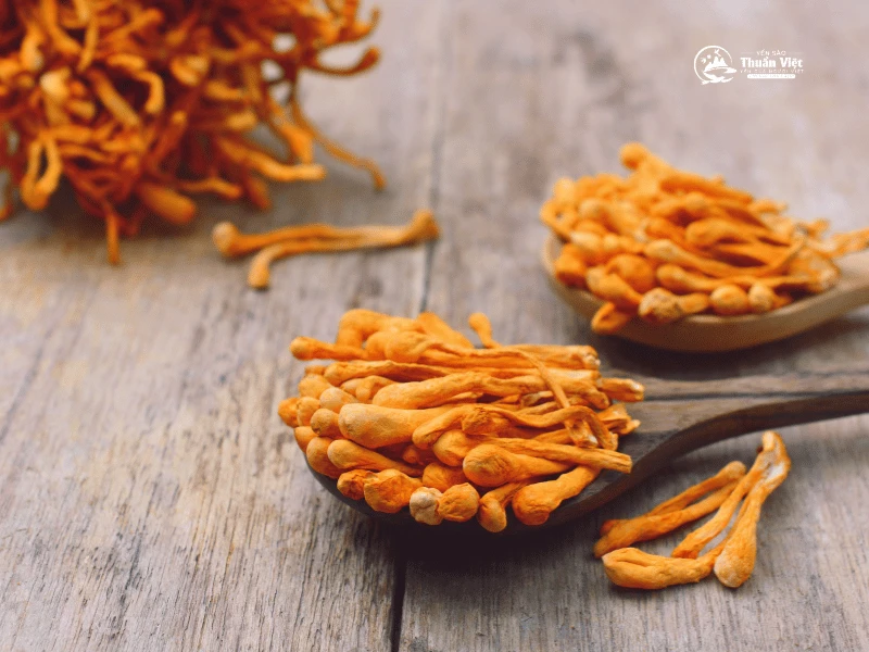 Giỏ quà yến sào tặng khách khứa, bạn bè