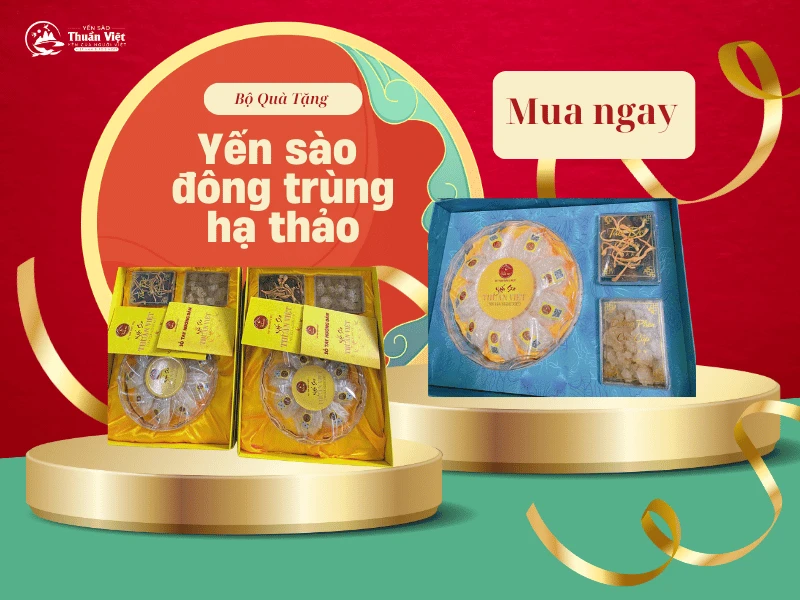 Giỏ quà yến sào tặng khách khứa, bạn bè