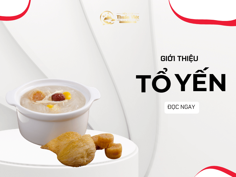 Giá trị dinh dưỡng của tổ yến​ | Chi tiết nhất