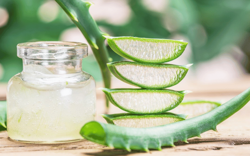 Nước yến nha đam – Món quà dưỡng chất từ thiên nhiên