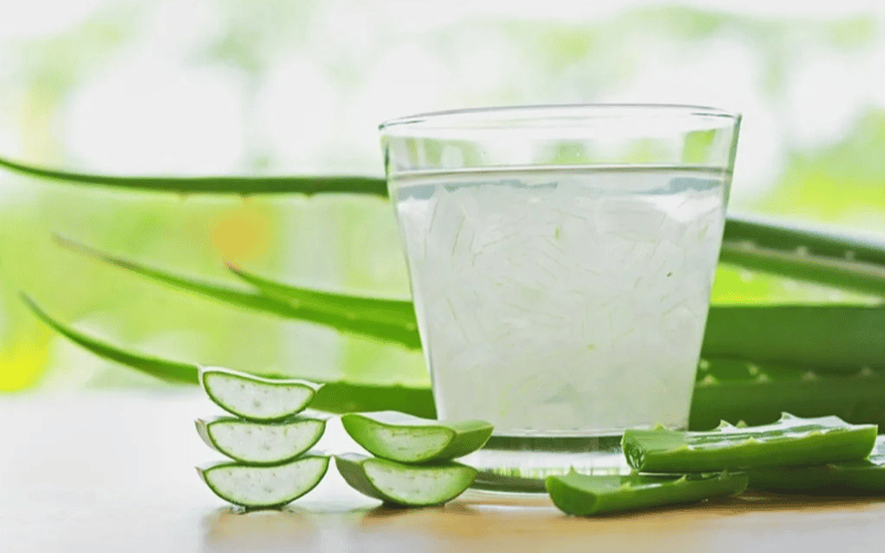 Nước yến nha đam – Món quà dưỡng chất từ thiên nhiên