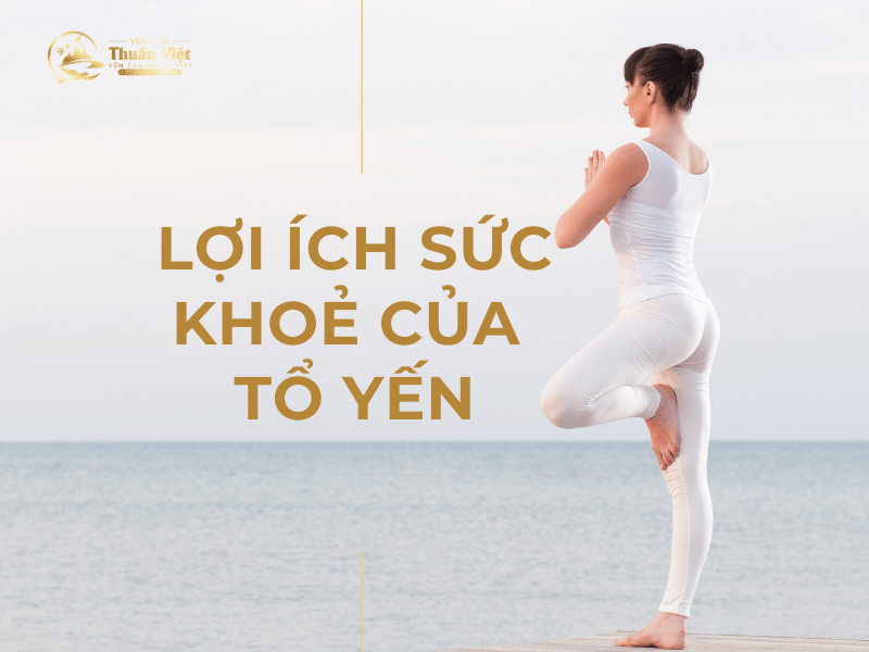 Giá trị dinh dưỡng của tổ yến​ | Chi tiết nhất