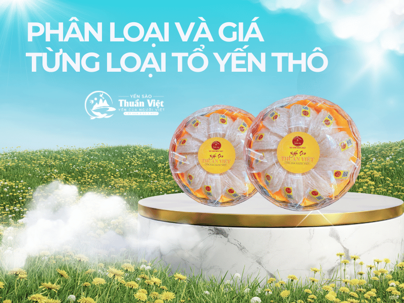 Giá Tổ Yến Hiện Nay: Bảng Giá Mới Nhất Bạn Cần Biết!