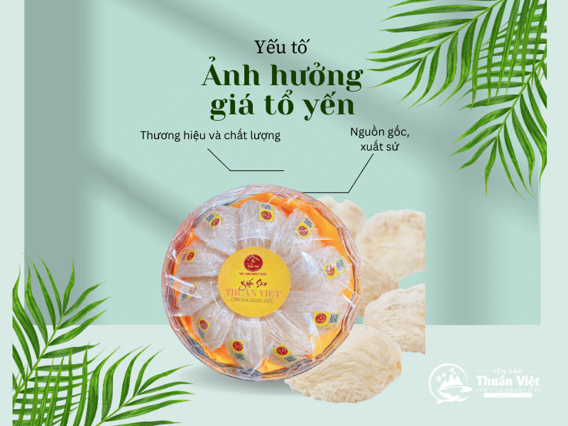 Giá Tổ Yến Hiện Nay: Bảng Giá Mới Nhất Bạn Cần Biết!