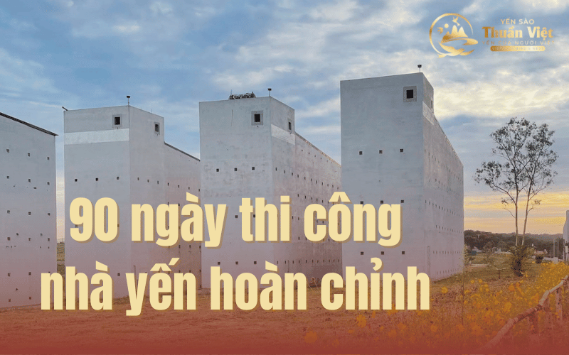 90 ngày thi công nhà yến hoàn chỉnh cùng Xây dựng nhà yến