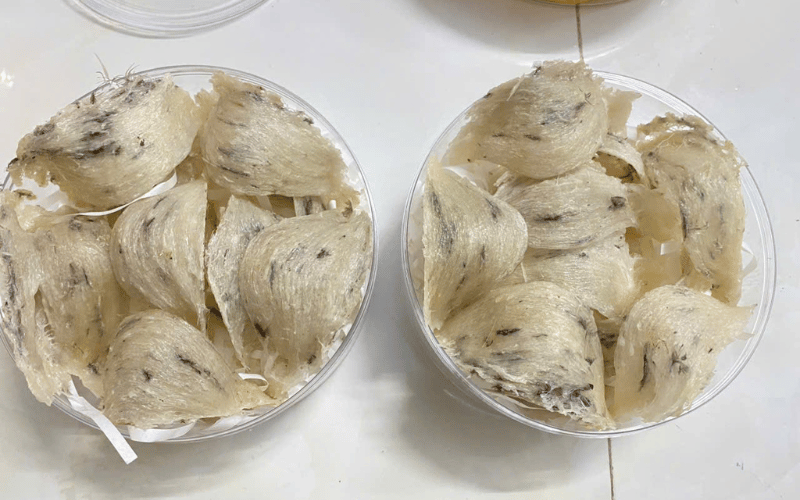 Yến tinh chế Thuần Việt – Tinh hoa được chắt lọc từ những tổ yến nguyên bản
