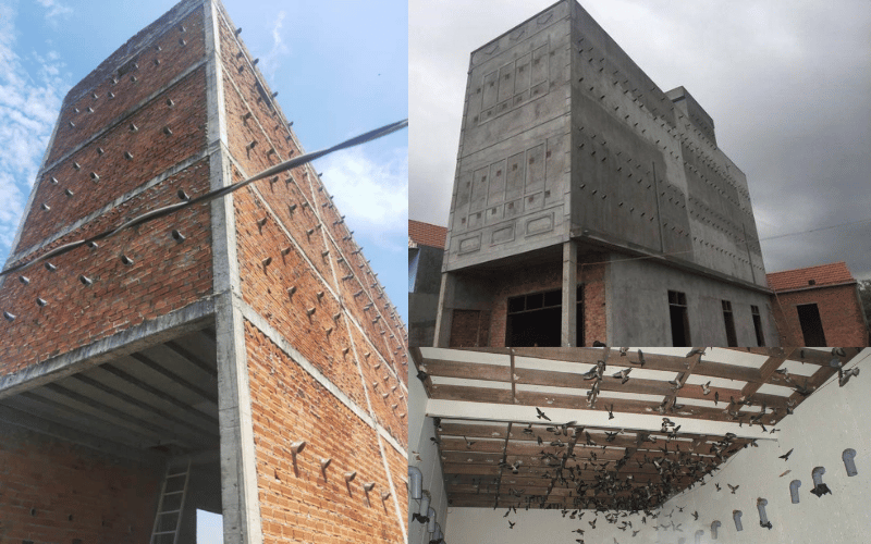 Nhà yến Tây Nguyên có gì mà giới nuôi yến đổ xô về?