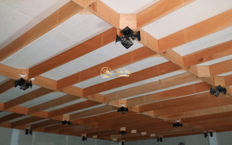 Xây nhà yến tại Đắk Lắk – Tiềm năng thực sự hay chỉ là trào lưu?