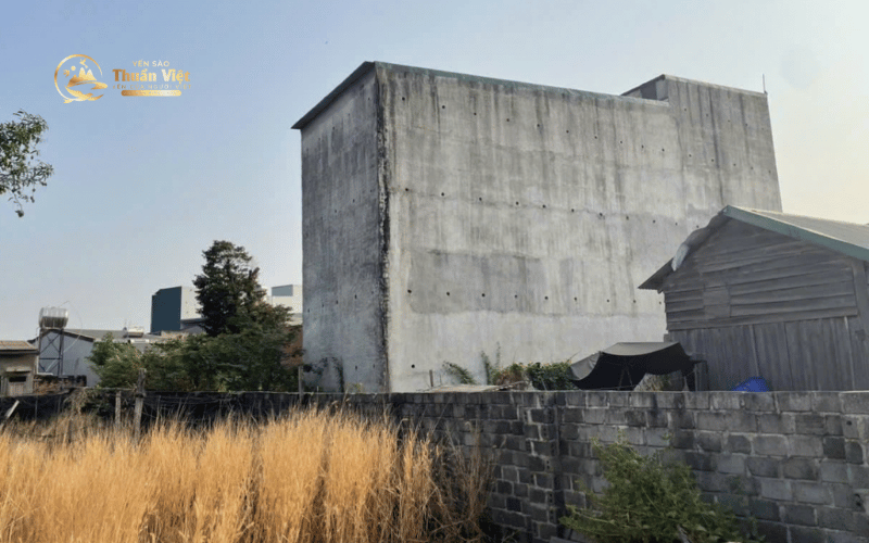 Vai trò của Yến sào Thuần Việt trong mô hình nuôi yến độc quyền