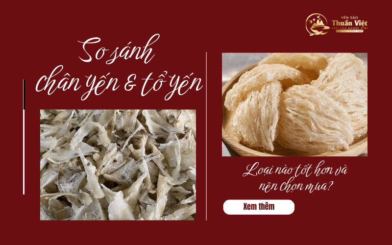 So sánh chân yến và tổ yến: Loại nào tốt hơn và nên chọn mua?