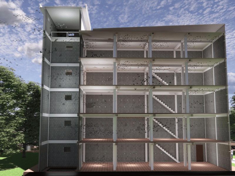 Dịch vụ bảo trì, chăm sóc nhà nuôi chim yến chuyên nghiệp