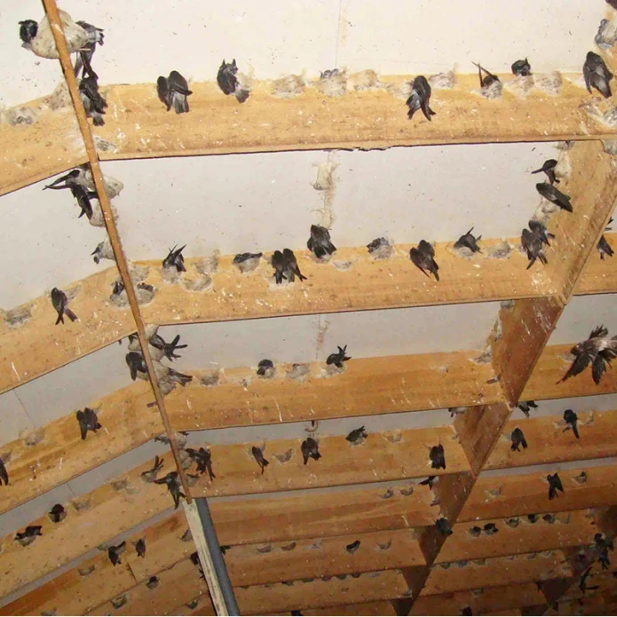 Hệ thống tạo ẩm