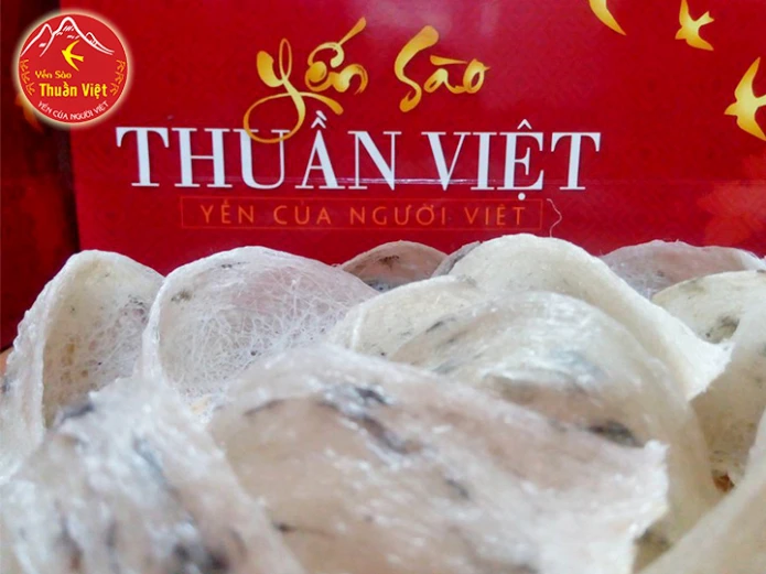 Giới thiệu