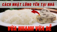 Cách Nhặt Lông Yến Tại Nhà - Hướng Dẫn Chi Tiết Từng Bước