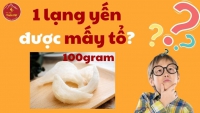 1 Lạng Yến Được Bao Nhiêu Tổ? Giải Đáp Chi Tiết 