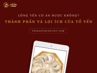 Lông Yến Có Ăn Được Không? Thành Phần Và Lợi Ích Của Tổ Yến