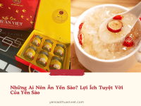 Những Ai Nên Ăn Yến Sào? Lợi Ích Tuyệt Vời Của Yến Sào Dành Cho Các Đối Tượng Khác Nhau