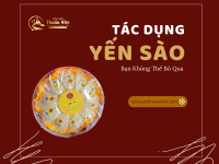  Tác Dụng Của Yến Sào Mà Bạn Không Thể Bỏ Qua