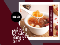 Những Hiểu Lầm Phổ Biến Về Tác Dụng Của Tổ Yến