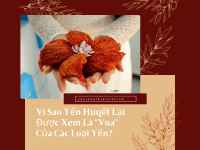 Vì Sao Yến Huyết Lại Được Xem Là