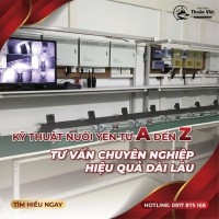 Top 5 Loại Loa Dẫn Dụ Yến Tốt Nhất Hiện Nay – Đánh Giá Chi Tiết