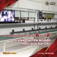 Top 5 Loại Loa Dẫn Dụ Yến Tốt Nhất Hiện Nay – Đánh Giá Chi Tiết