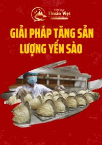 Công Nghệ Giả Lập Môi Trường Tự Nhiên – Giải Pháp Tăng Sản Lượng Yến Sào