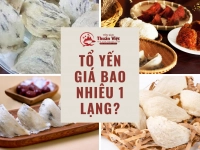 Tổ yến giá bao nhiêu 1 lạng​? Báo giá mới nhất 2025