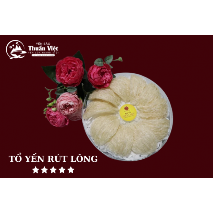 Tổ yến rút lông 