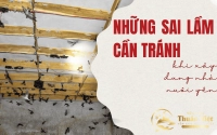 Những sai lầm cần tránh khi xây dựng nhà nuôi yến