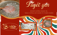 Tuyết Yến: Bí Mật Dưỡng Nhan và Tăng Cường Sức Khỏe Từ Thiên Nhiên