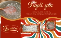 Tuyết Yến: Bí Mật Dưỡng Nhan và Tăng Cường Sức Khỏe Từ Thiên Nhiên