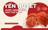Yến huyết được hình thành như thế nào?