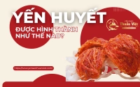 Yến huyết được hình thành như thế nào?