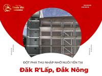 Đột phá thu nhập nhờ nuôi yến tại Đăk R'Lấp, Đắk Nông