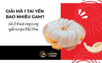 1 tai yến bao nhiêu gam? Khám phá bí mật đằng sau tổ yến 