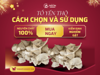 Tổ Yến Thô: Hướng Dẫn Chi Tiết Chọn Mua Và Sử Dụng