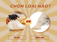 Chân yến và tổ yến loại nào tốt hơn​? | Đọc ngay
