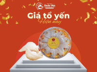 Giá Tổ Yến Hiện Nay: Bảng Giá Mới Nhất Bạn Cần Biết!