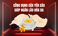 Công dụng của yến sào giúp ngăn lão hóa da