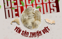 Yến tinh chế Thuần Việt – Tinh hoa được chắt lọc từ những tổ yến nguyên bản