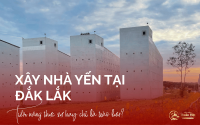 Xây nhà yến tại Đắk Lắk – Tiềm năng thực sự hay chỉ là trào lưu?