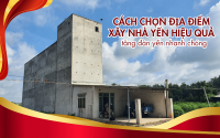 Cách chọn địa điểm xây nhà yến hiệu quả, tăng đàn yến nhanh chóng