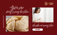 Yến sào đông trùng hạ thảo cho phụ nữ mang thai